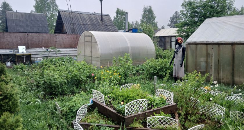 С 1 мая на теплицы вводится запрет: приняли решение для всех россиян, у кого есть участок или дача - новые штрафы