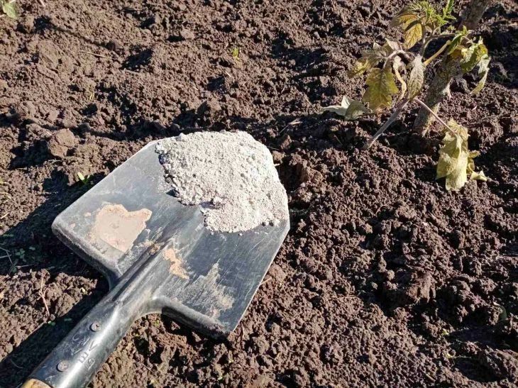 Что делать, если почва кислая: меры, которые можно предпринять даже в июне