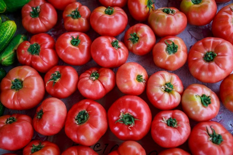По 8-10 кг куста: 1 майская подкормка, и томаты растут быстрее на 45% весь сезон