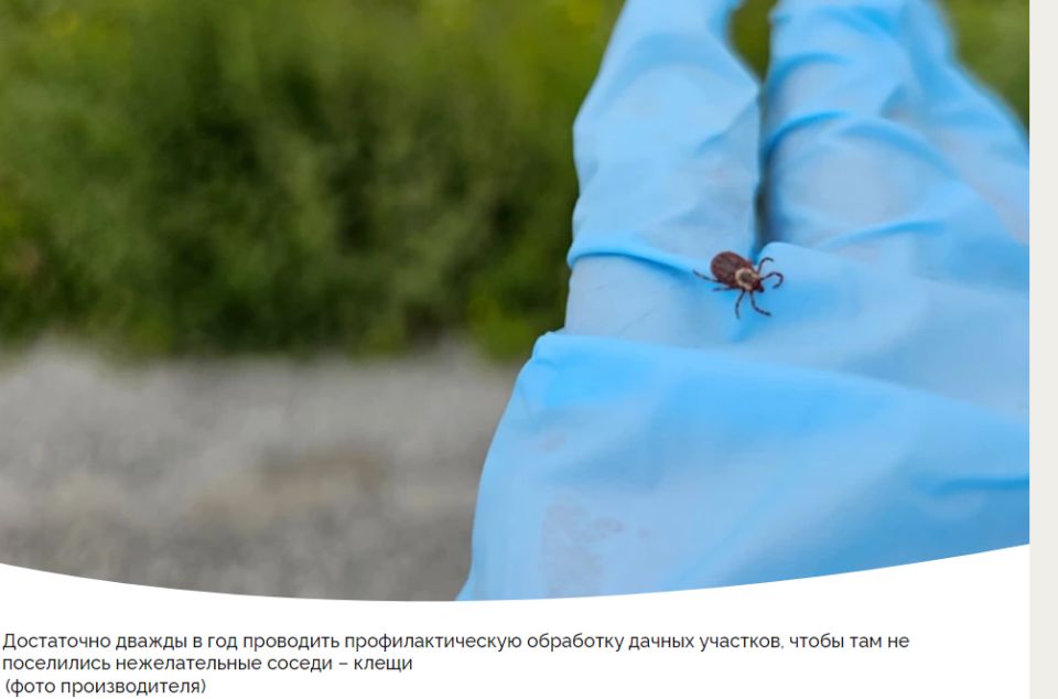 Как эффективно избавиться от клещей и других насекомых на дачном участке