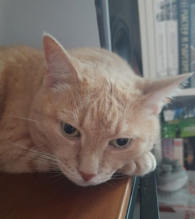 Пришло время свежих фруктов: как правильно мыть арбуз и другие угощения лета