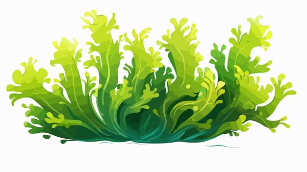 Водоросли: удивительные мастера выживания и размножения на нашей планете