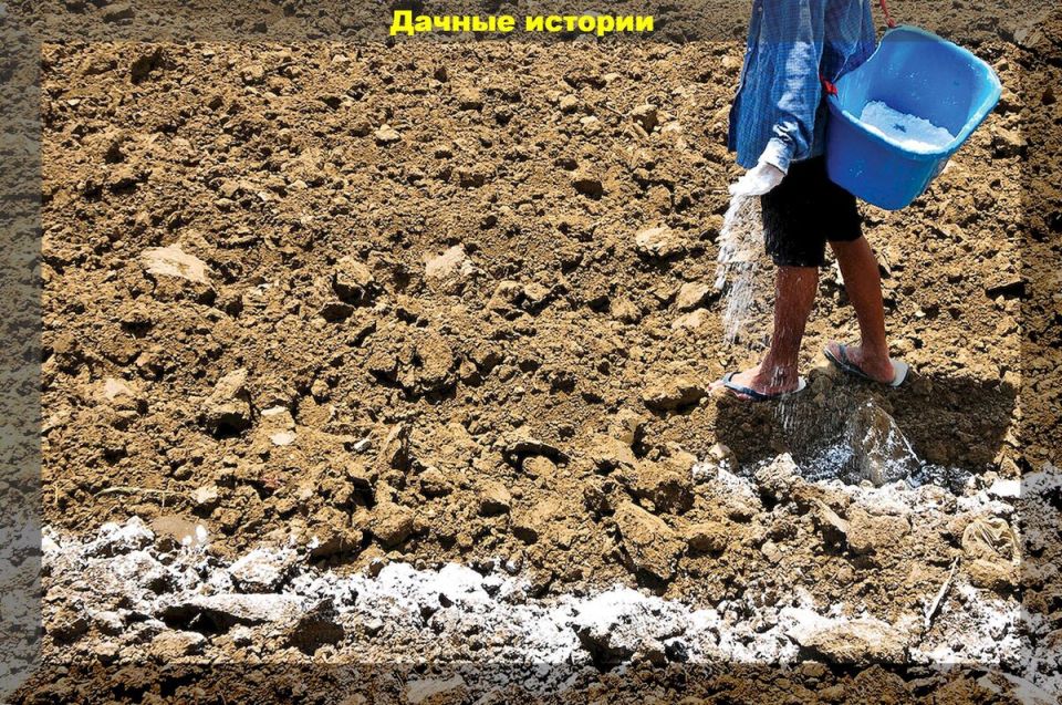 Как гипс помогает преобразить глинистую почву: эффективные советы