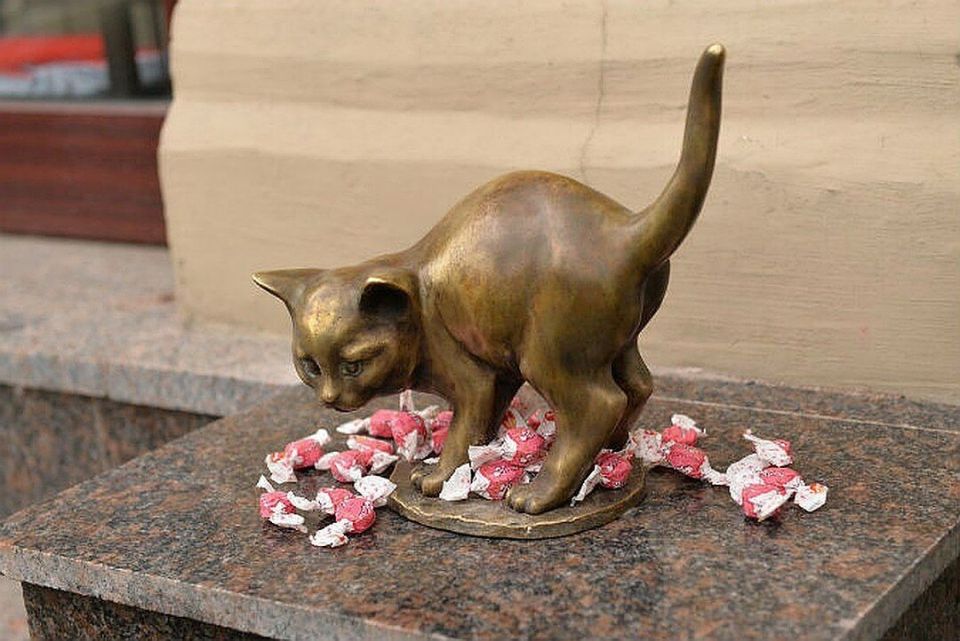 Как правильно проводить похороны для домашних животных: закон и безопасность