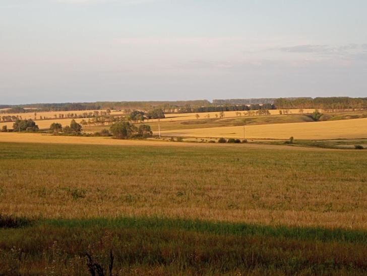 ������ �� ���� � ��������� �������: ����� ����� � ���� � ������ ��������