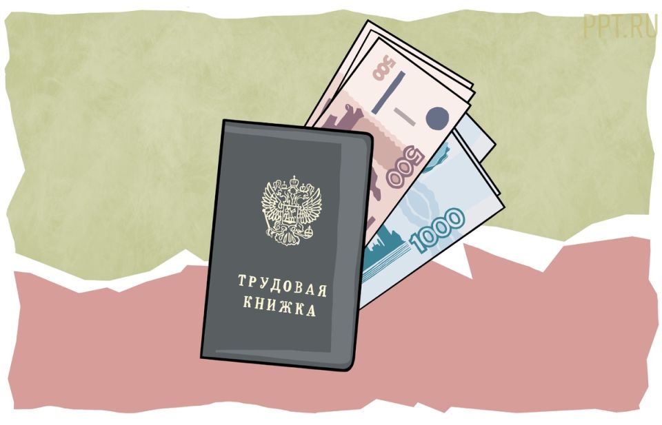 Проверка трудовой книжки: избегите этих распространенных ошибок, чтобы не потерять пенсию