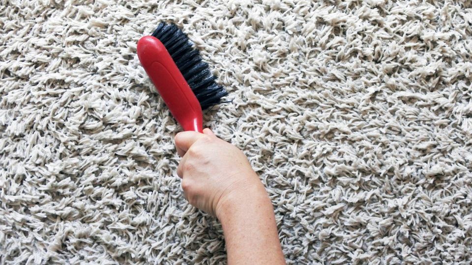 ����� � ������� ������ ����� ����� ��� �����: ������� ������� ���� � �����