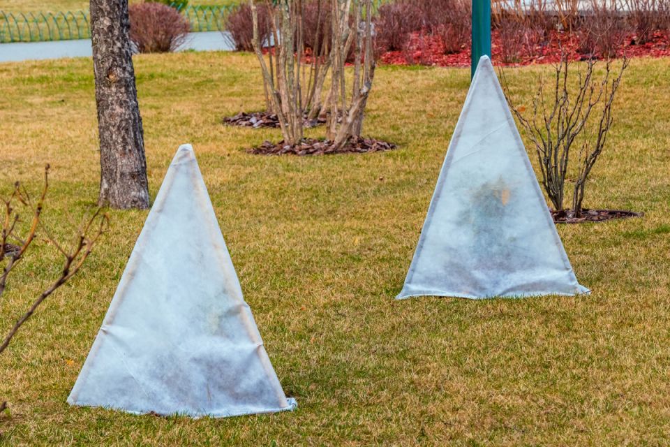 ��� ������� ������ ������ ������: �������� ��� ���������� � ����