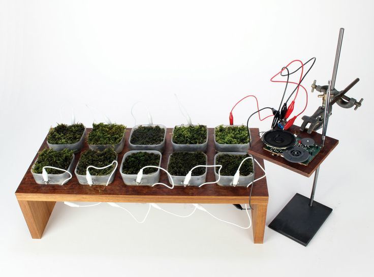 ��� �������� ���������� ���������� �������������: ������� �� �������