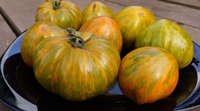 ����� ������ �������: ��������� ������� � ��������� ������ ��� ����� �������