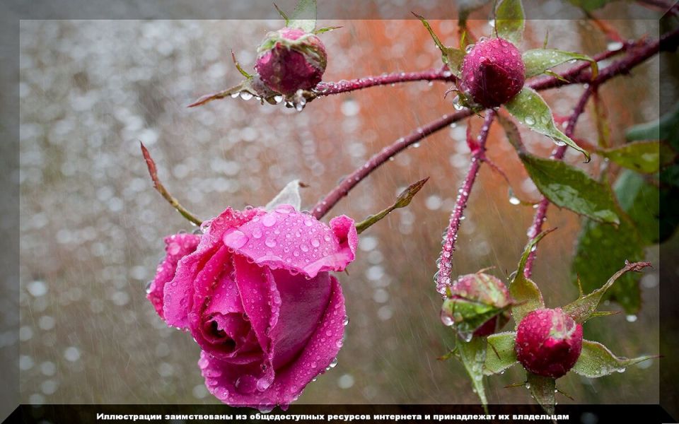 ��� ���������� � ����� � �������: ������ �� ��������� � ����� ����� ������