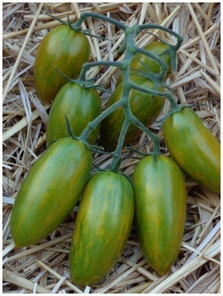 ������� ����: ��� ������������ ������ �������� ���� � �����