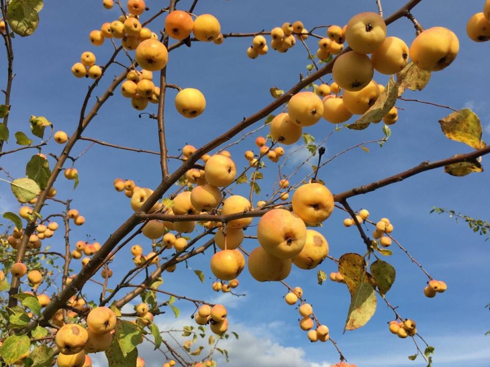 ��� ��������� ������ �� �����: ������� ���� ������������