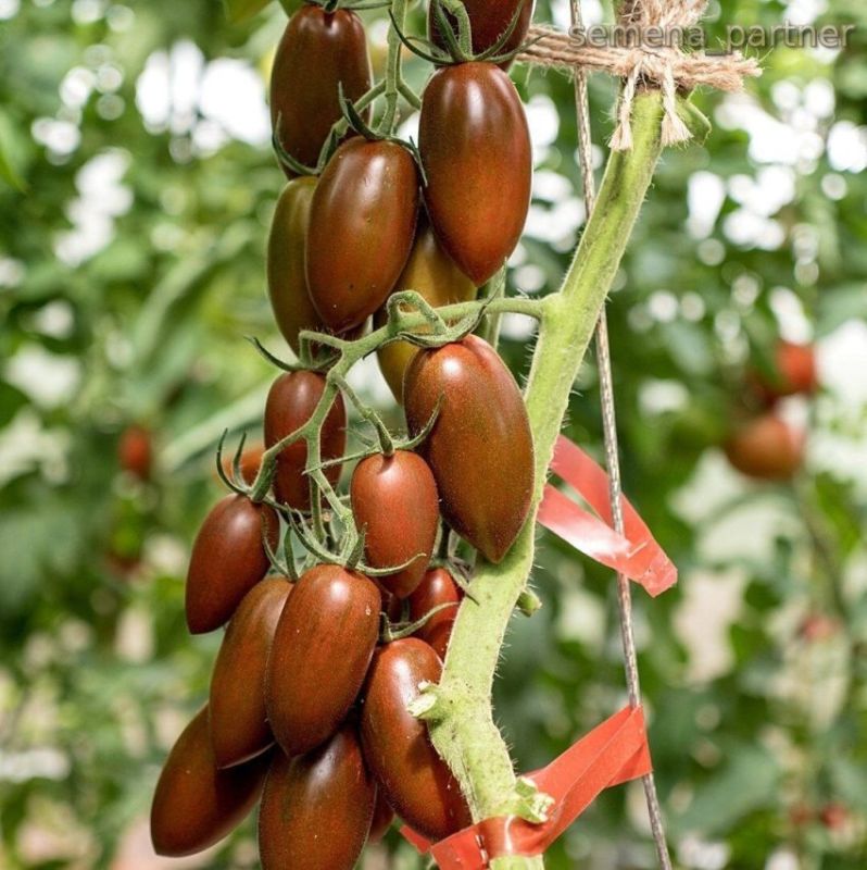 ����� ����������� ���: ��� ����� �� ��� ��������� �������?