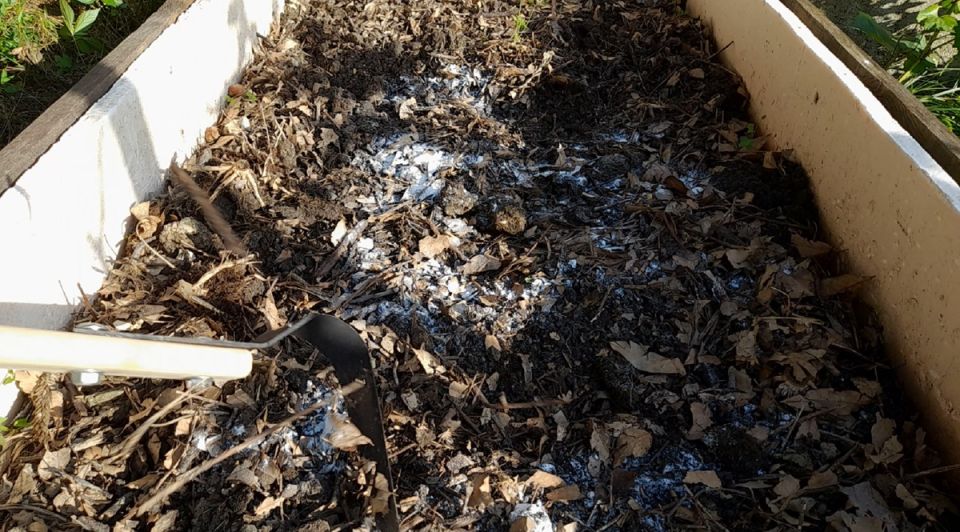 Грунт в теплицах: осенние секреты обильного урожая