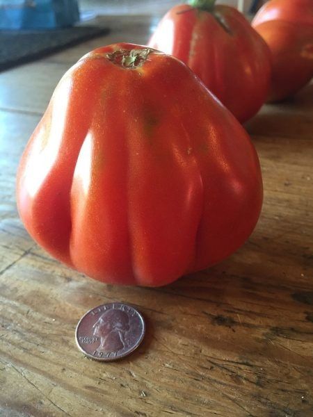 �����-������������ �� ���������: ������ ����� � �������� ������ � ���������� ����������