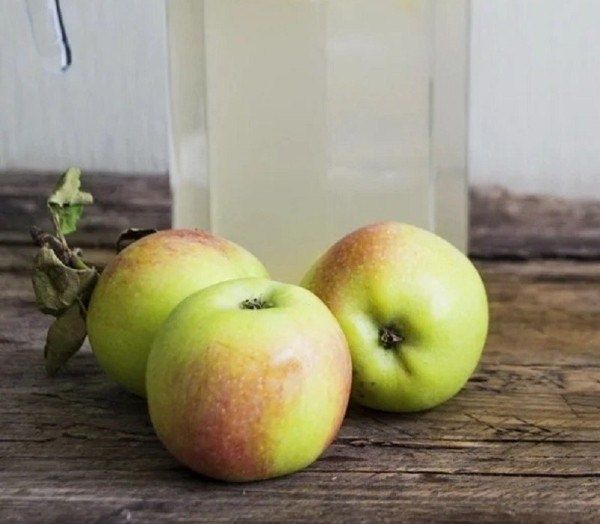 Натуральные подкормки для растений как повседневная забота о саде