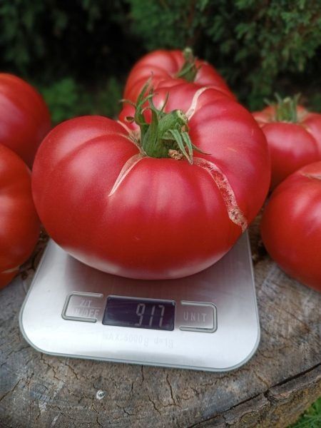 ����� ������� ����� ����: ������� ����� � ������������ ����������