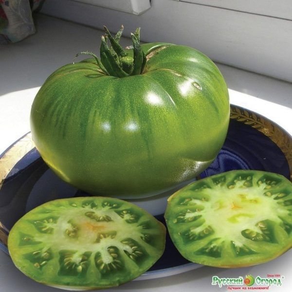 Изумрудное яблоко: спокойное объяснение необычного зелёного томата