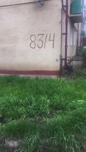        , 83/4