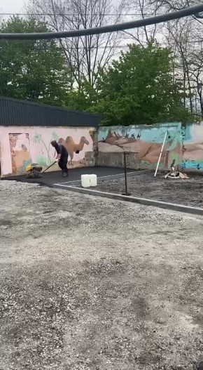  25         