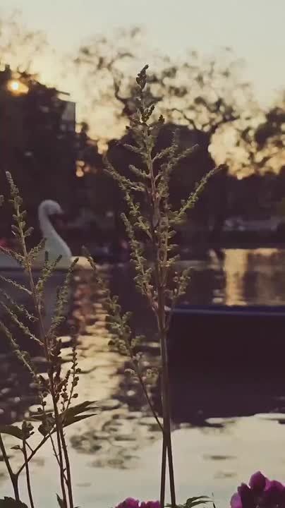  , !. ! - _
