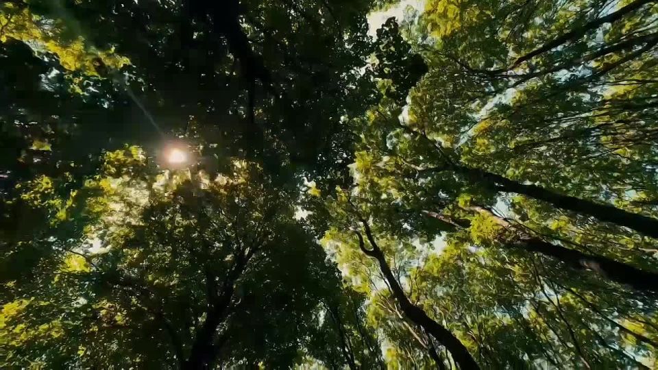   -     !