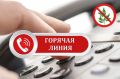 СТОП, АМБРОЗИЯ!. В Северной Осетии ведётся работа по борьбе с амброзией полыннолистной