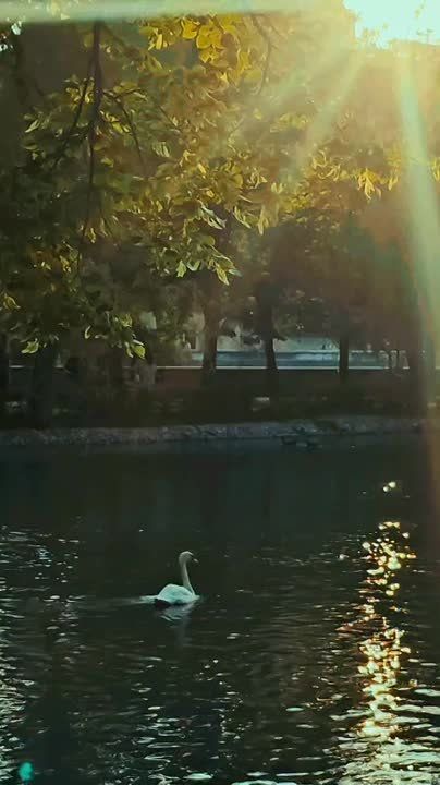  , !. ! - _