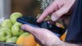 «Завсегдатаи уже научены»: стоит ли рисковать здоровьем, покупая продукты на маркетплейсах