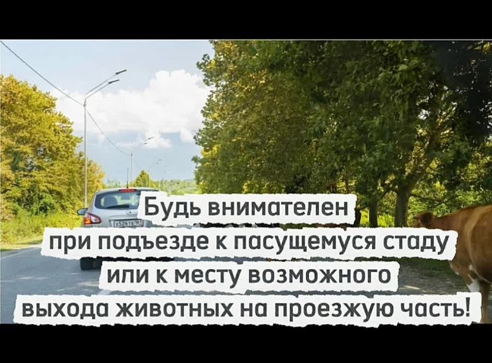   ,            -   ,     