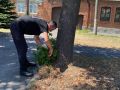 Специалисты продолжают работы по покосу сорной травы во Владикавказе