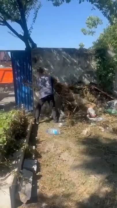      ,   - 