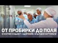 От пробирки до поля. В Осетии создают «здоровое» будущее картофеля
