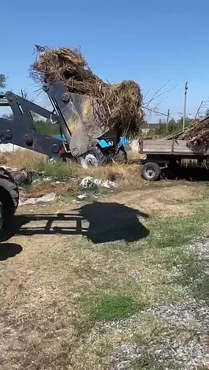       . ,            