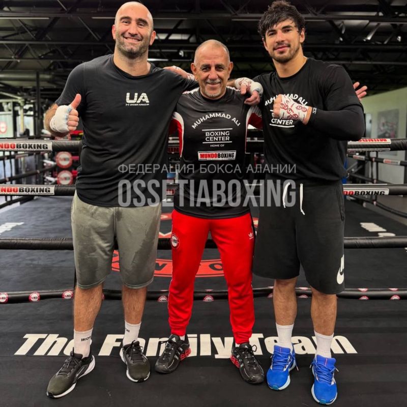 -        WBA  IBF          , 23 24