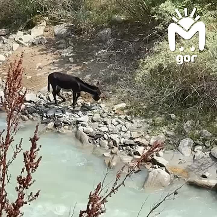      ,    