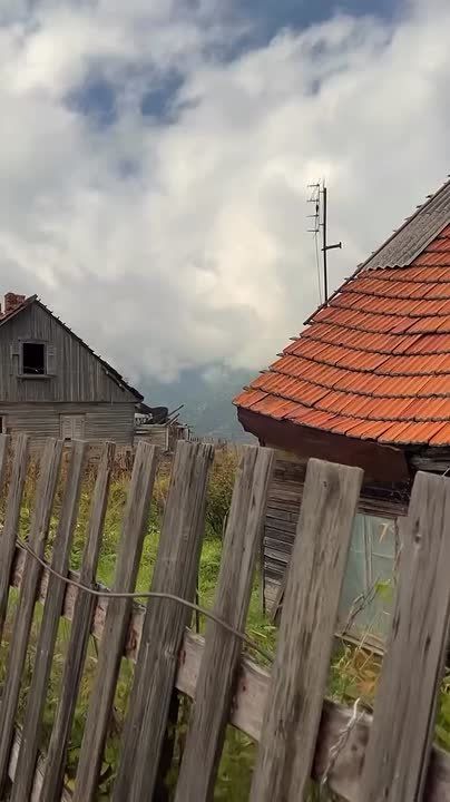   .       ,          
