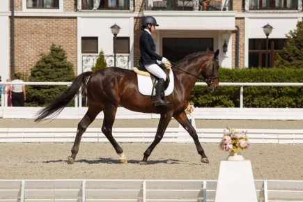           Golden Horse Dressage Tour 2025
