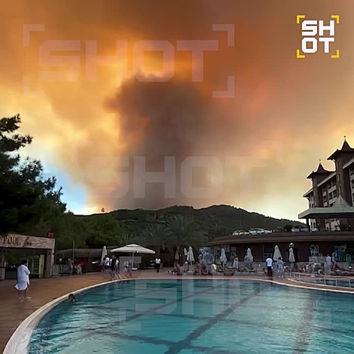         ,    