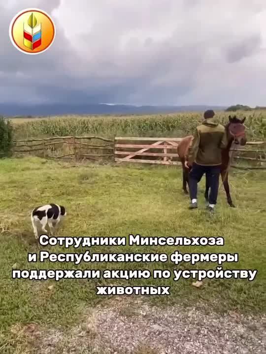             ,          