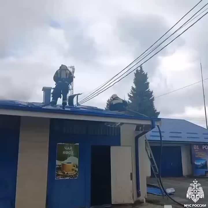   250 .. - 