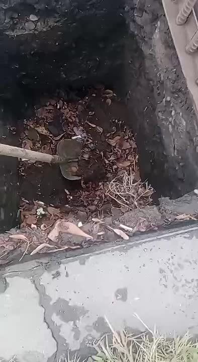    .         41  