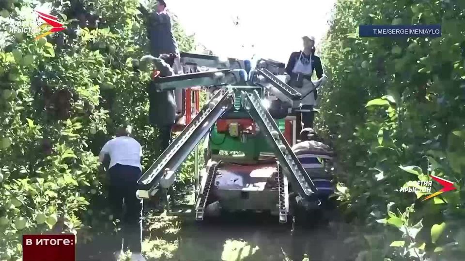 12    -       