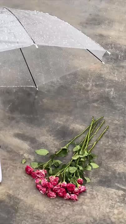         ,        