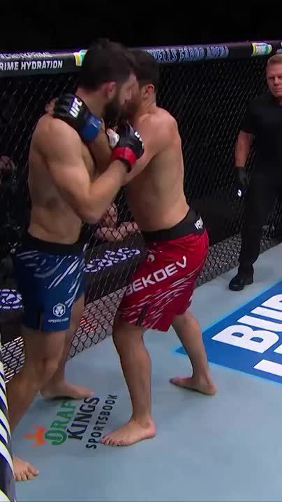       19    UFC Fight Night 262  