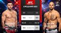           UFC Fight Night 262  