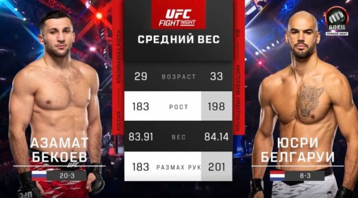           UFC Fight Night 262  