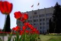 Владикавказ становится зеленее