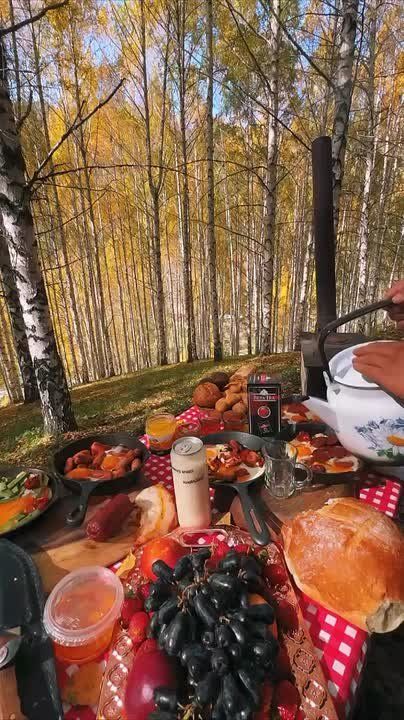  , !.       ,   30% +9 +20 15-       ! @region15_ru